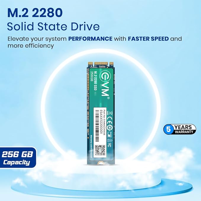 EVM 128 GB M.2 SSD EVM 128 GB M.2 SSD