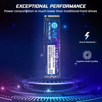 EVM M.2 2280 Solid State Drive 256GB SSD