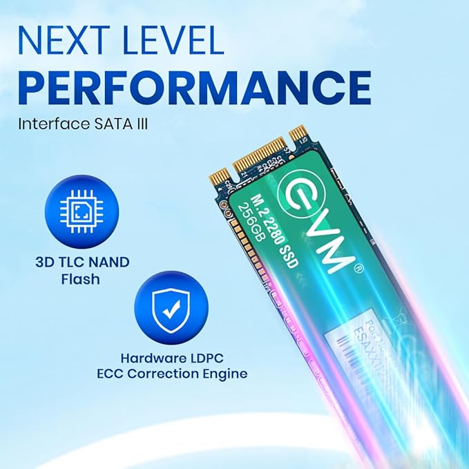EVM 128 GB M.2 SSD EVM 128 GB M.2 SSD