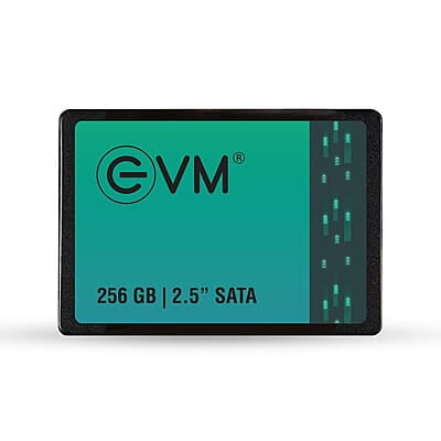 EVM 256GB SSD