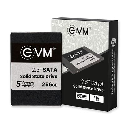 EVM 2.5  SATA Solid State Drive 256GB