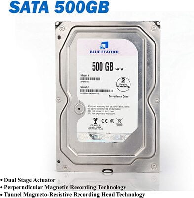Blue Feather 500 Gb Surveillance Hard Disk Drive 3.5 Inch SATA