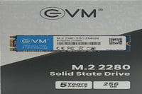 EVM M.2 2280 Solid State Drive 256GB SSD